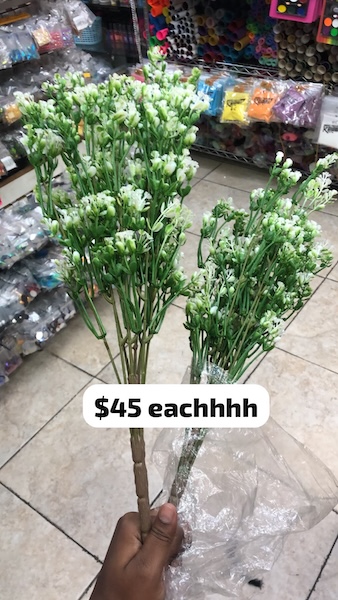 Baby Breath